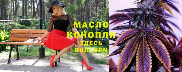 ГАЛЛЮЦИНОГЕННЫЕ ГРИБЫ Ельня