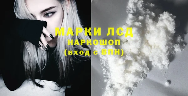 шишки Елизово