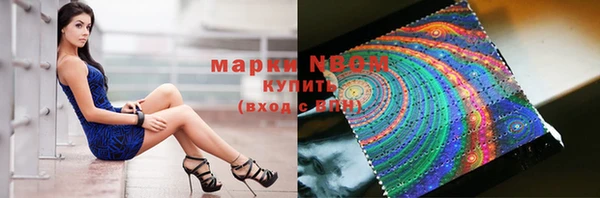 шишки Елизово