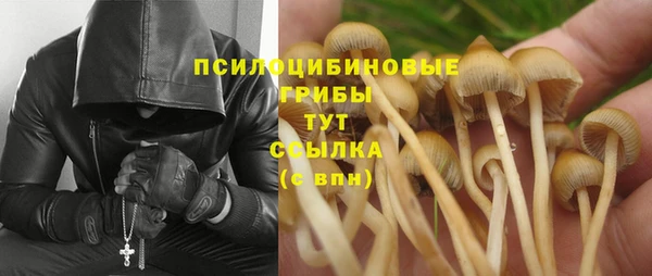 mdma Кодинск