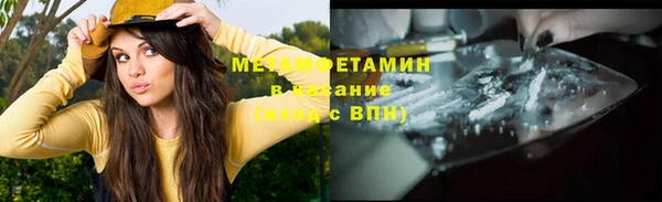 шишки Елизово