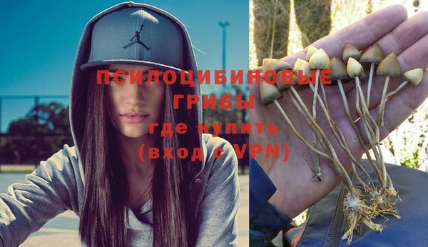 шишки Елизово