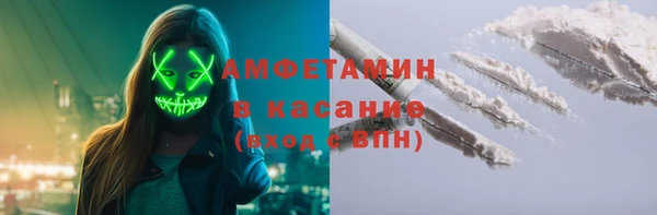 шишки Елизово