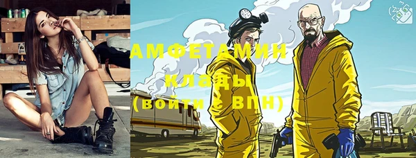 ГАЛЛЮЦИНОГЕННЫЕ ГРИБЫ Ельня