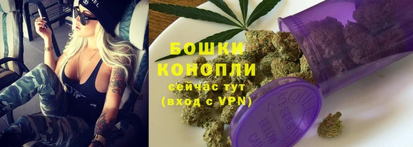 шишки Елизово
