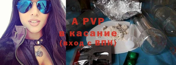 шишки Елизово