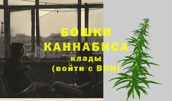 шишки Елизово