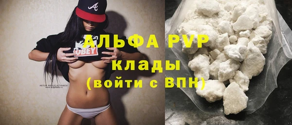 ГАЛЛЮЦИНОГЕННЫЕ ГРИБЫ Ельня